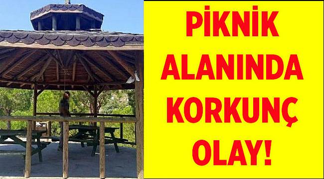 Bunalımdaki adam, kendini kameriyeye astı