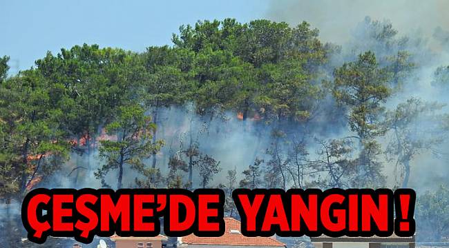 Çeşme&#039;de orman yangını korkuttu