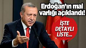İşte Cumhurbaşkanı Erdoğan'ın malvarlığı listesi! Kime borcu var?