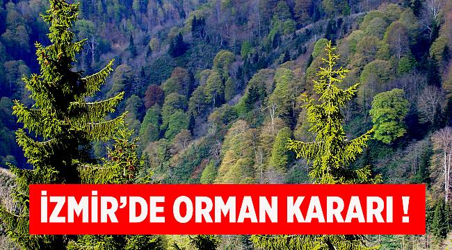 İzmir&#039;de orman kararı! Sınır dışına çıkarıldı