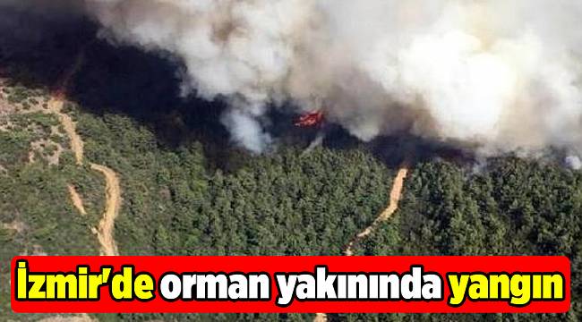 İzmir&#039;de orman yakınında yangın