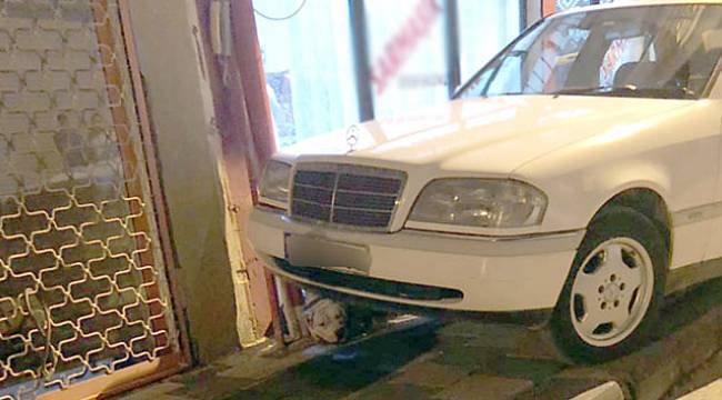 Kahvehaneye giren pitbull 2 kişiyi yaraladı