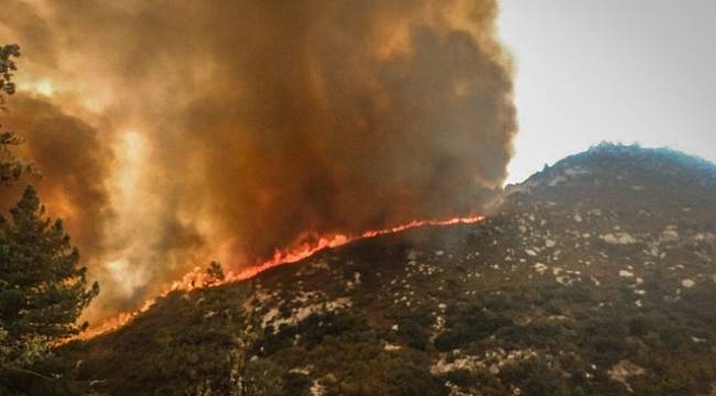 Kaliforniya’da OHAL ilan edildi