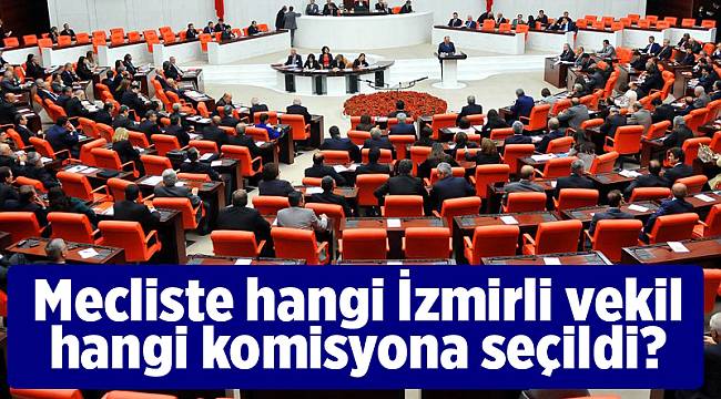 Mecliste hangi İzmirli vekil hangi komisyona seçildi?