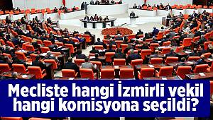 Mecliste hangi İzmirli vekil hangi komisyona seçildi?