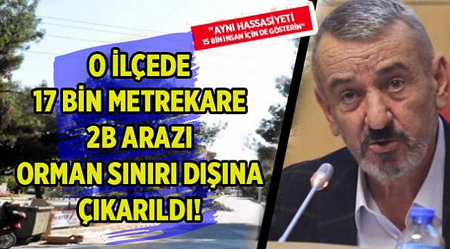 O ilçede 17 bin metrekare 2B arazisi orman sınırı dışına çıkarıldı