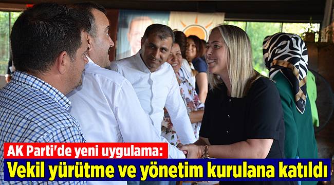 AK Parti'de yeni uygulama: Vekil yürütme ve yönetim kurulana katıldı