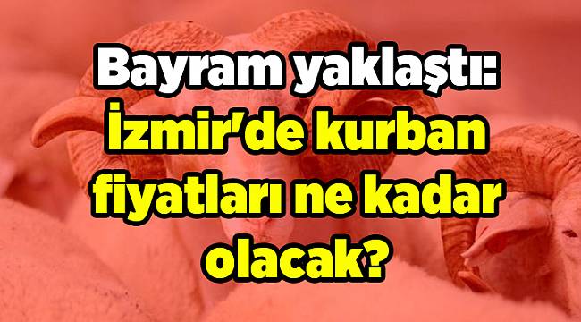 Bayram yaklaştı: İzmir'de kurban fiyatları ne kadar olacak?