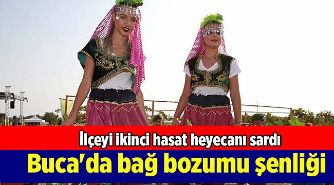 Buca'da bağ bozumu 2 Eylül'de