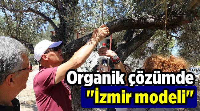 Organik çözümde "İzmir modeli"