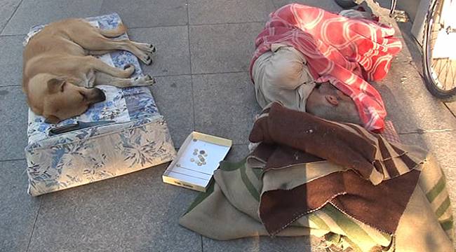 Yıllardır bir cadde üzerinde köpekle birlikte uyuyan adam yürekleri sızlattı