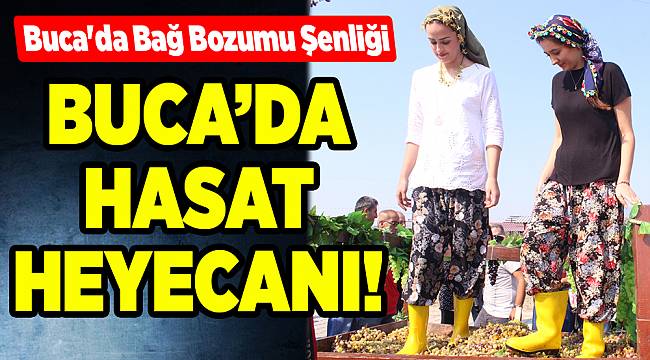 Buca'da Bağ Bozumu Şenliği