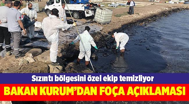 Foça'da denize sızan petrolü temizleme çalışmaları sürüyor
