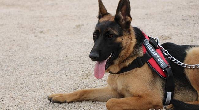 Hırsızlardan kurtulup 112'ye sığınmış