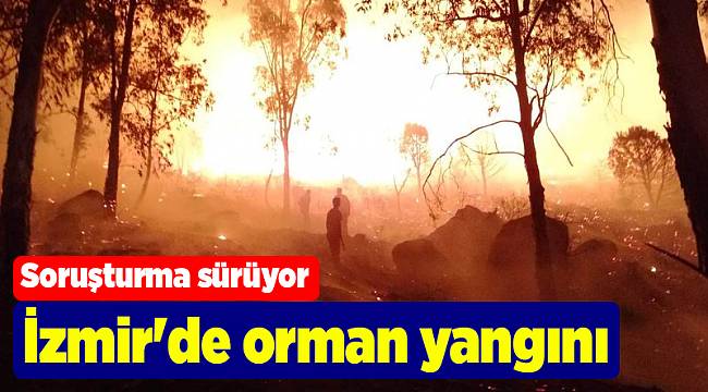 İzmir'de orman yangını
