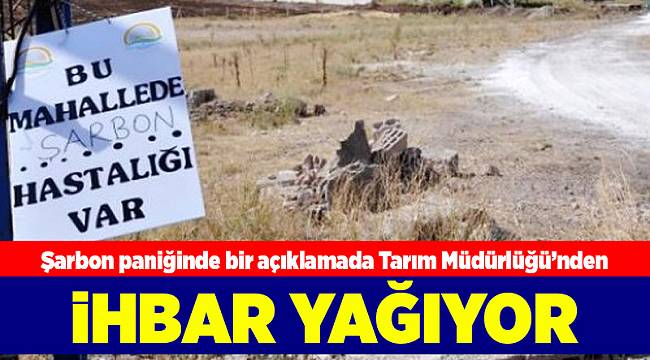 İzmir'de şarbon ihbarı yağıyor