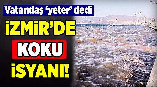 İzmirliler kokudan şikayetçi