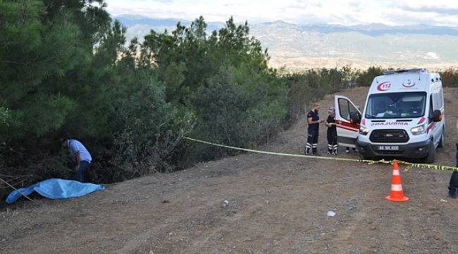 Kahreden haber! Annesi ormanda buldu