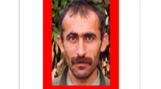 Kırmızı listedeki bir terörist daha etkisiz hale getirildi