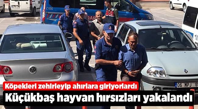 Küçükbaş hayvan hırsızları yakalandı