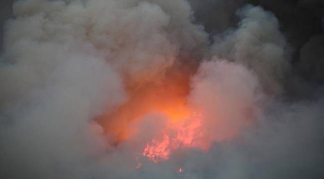 Orman yangını yerleşim bölgesini tehdit ediyor