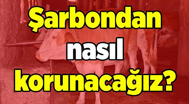 Şarbondan nasıl korunacağız?