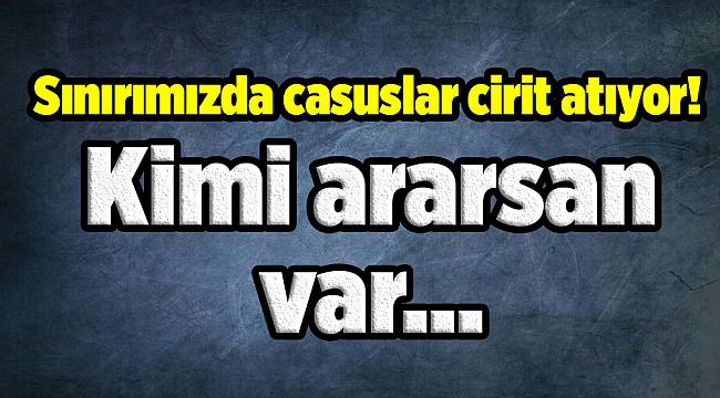 Sınırımızda casuslar cirit atıyor! Kimi ararsan var...