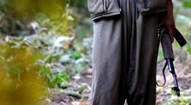 Şırnak'ta 5 terörist etkisiz hale getirildi!
