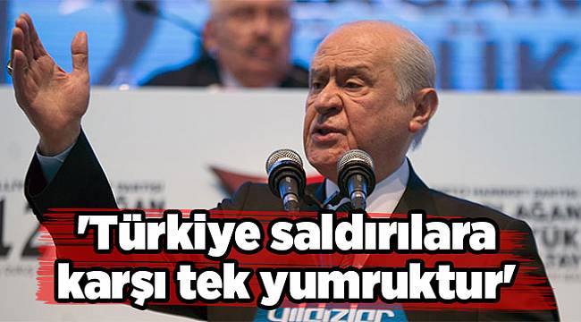 'Türkiye saldırılara karşı tek yumruktur'
