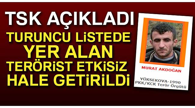 Turuncu listede yer alan terörist etkisiz hale getirildi
