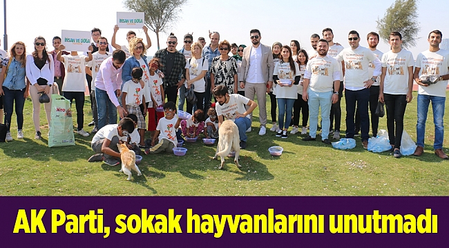 AK Parti İzmir, sokak hayvanlarını unutmadı