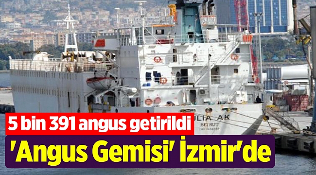 &#039;Angus Gemisi&#039; İzmir&#039;de