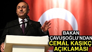 Dışişleri Bakanı Çavuşoğlu: 'Başkonsolosun aracında ve rezidansında arama yapılacak'