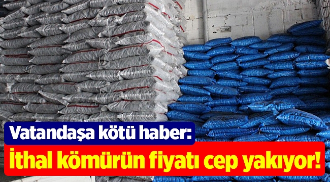 İthal kömürün fiyatı cep yakıyor!