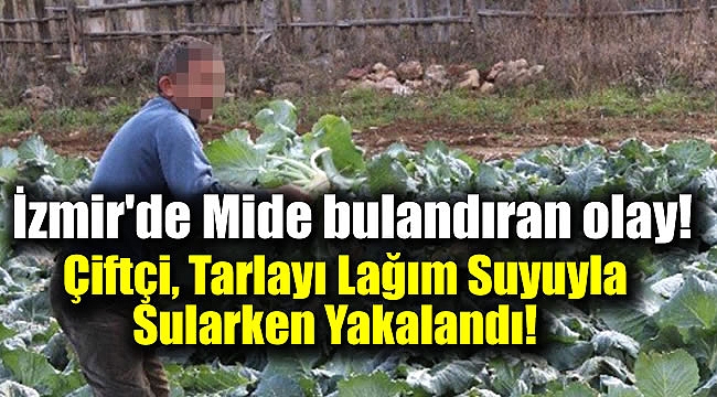 İzmir'de Çiftçi, Tarlayı Lağım Suyuyla Sularken Yakalandı
