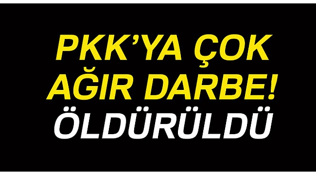 PKK'nın sözde bölge sorumlusu ölü olarak ele geçirildi