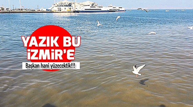 Başkan Hani Yüzecektik!