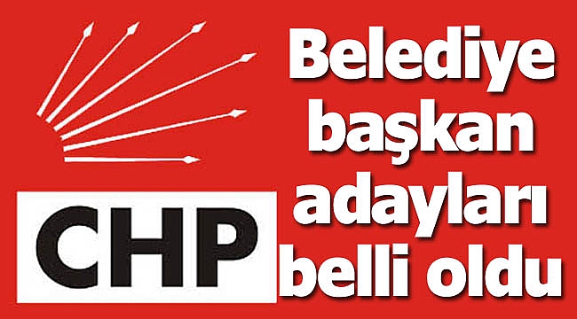 CHP'nin adayları belli oldu!