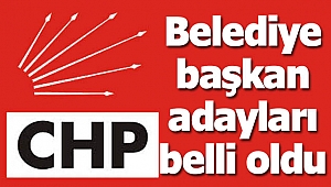 CHP'nin adayları belli oldu!