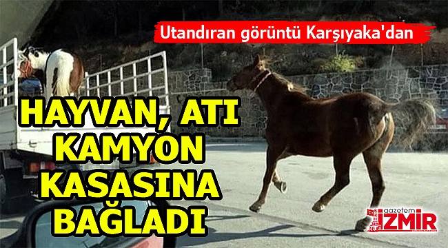 İzmir'de bir hayvan atını kamyon kasasına bağladı!