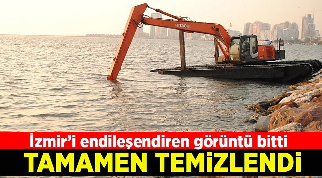 İzmir'de suyun yüzeyini kaplayan 'deniz marulu' temizlendi