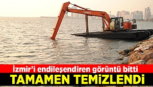 İzmir'de suyun yüzeyini kaplayan 'deniz marulu' temizlendi
