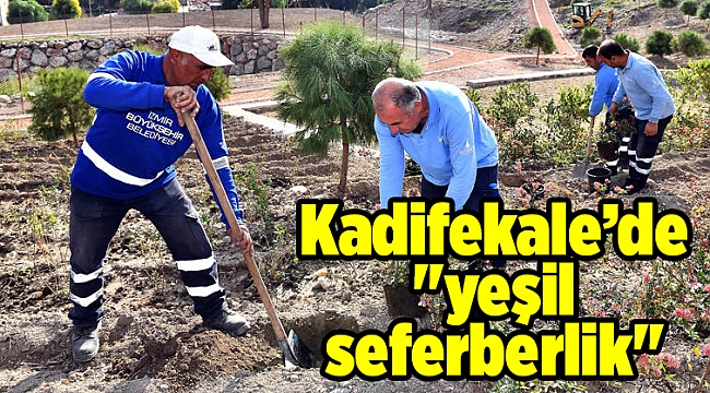 Kadifekale’de "yeşil seferberlik"