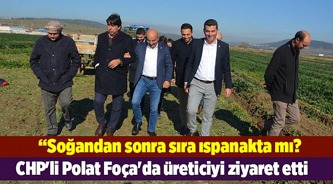 CHP'li Polat Foça'da üreticiyi ziyaret etti