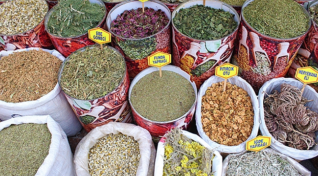 Otlarla tedavi olmak isteyen kanser hastalarına uzmanından uyarı