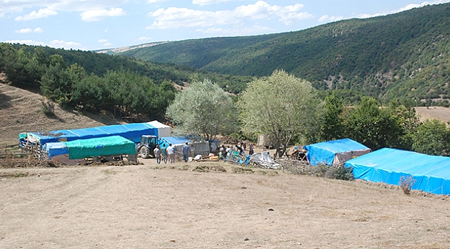 Tokat'ın kayıp çocukları bulunamadı
