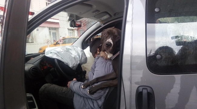 Direksiyon başında sızdı, aracıyla benzinciye daldı