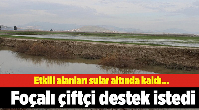 Etkili alanları sular altında kaldı... Foçalı çiftçi destek istedi