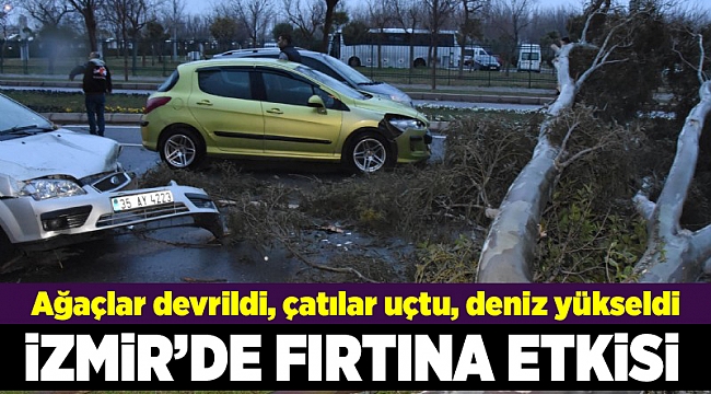 İzmir'de fırtına nedeniyle ağaçlar devrildi, çatılar uçtu