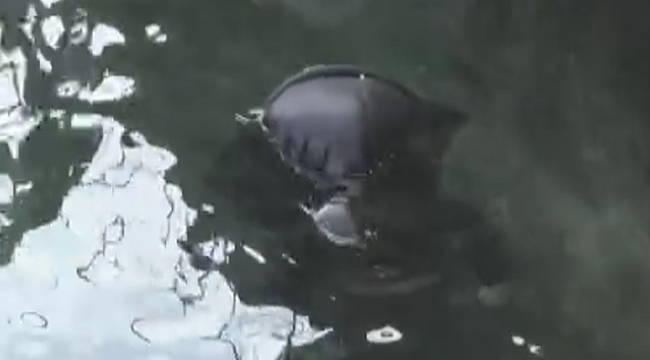 Kadıköy'de denizde ceset bulundu